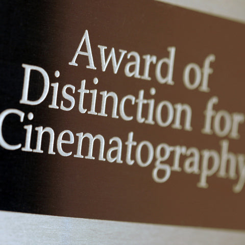 ACS Awards - Award of Distinction Plaques
